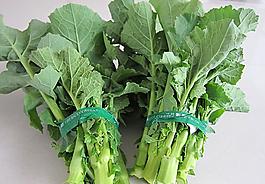 油菜苔圖片