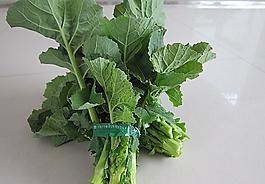 油菜苔圖片