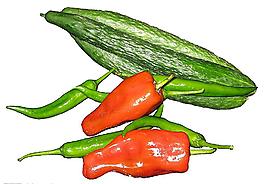 蔬菜食材圖片