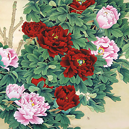 位圖 植物 花卉 優(yōu)雅植物 藝術(shù)效果 免費(fèi)素材
