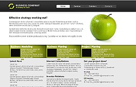 咨询公司html
