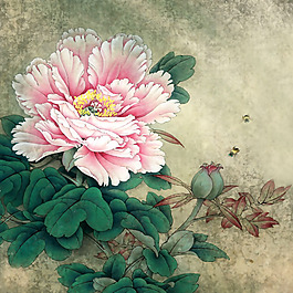 位圖 植物 花卉 優(yōu)雅植物 牡丹花 免費素材