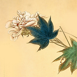 位圖 植物 花卉 優(yōu)雅植物 牡丹花 免費素材