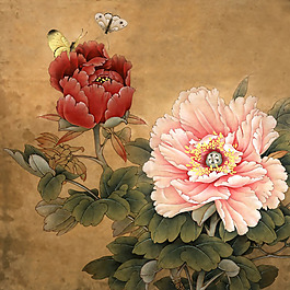 位圖 植物 花卉 優(yōu)雅植物 牡丹花 免費素材