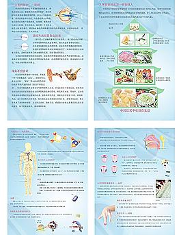 人體的奧秘醫(yī)學(xué)展覽展板圖片