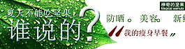 瘦身早餐