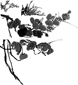 位圖 植物 花卉 優(yōu)雅植物 效果 免費素材