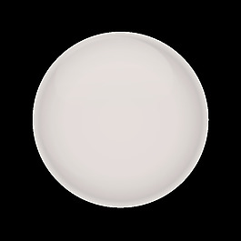 白池球