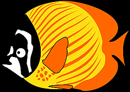 蝴蝶魚