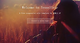 潮流設(shè)計風格html5模板