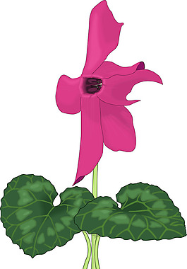 位圖 植物 花卉 優(yōu)雅植物 色彩 免費(fèi)素材