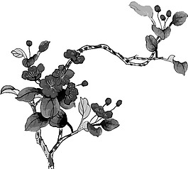 位圖 植物 花卉 優(yōu)雅植物 藝術(shù)效果 免費(fèi)素材