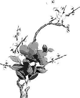 位圖 植物 花卉 優(yōu)雅植物 藝術(shù)效果 免費(fèi)素材