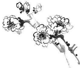 位圖 植物 花卉 優(yōu)雅植物 水墨 免費素材