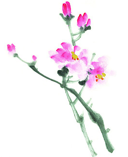 位圖 植物 花卉 優(yōu)雅植物 水墨 免費素材