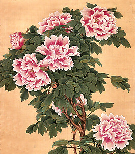 位圖 植物 花卉 優(yōu)雅植物 藝術(shù)效果 免費素材
