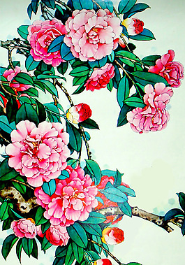 位圖 植物 花卉 優(yōu)雅植物 藝術(shù)效果 免費(fèi)素材