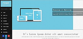 大氣css3商業服務整站模板