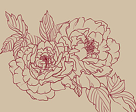 位圖 時(shí)尚休閑女裝 成熟優(yōu)雅女裝 植物 花卉 免費(fèi)素材