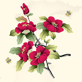 位圖 植物 花卉 優(yōu)雅植物 色彩 免費(fèi)素材