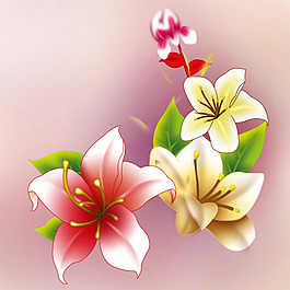 位圖 植物 花卉 優(yōu)雅植物 色彩 免費(fèi)素材