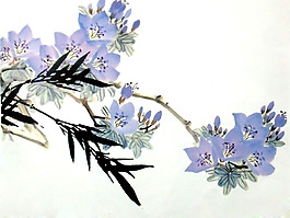位圖 植物 花卉 優(yōu)雅植物 藝術(shù)效果 免費(fèi)素材