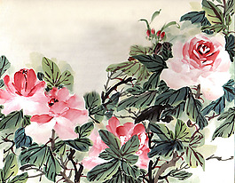 位圖 植物 花卉 優(yōu)雅植物 藝術(shù)效果 免費素材