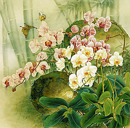位圖 植物 花卉 優(yōu)雅植物 藝術(shù)效果 免費素材