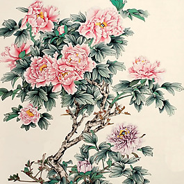 位圖 植物 花卉 優(yōu)雅植物 藝術(shù)效果 免費(fèi)素材
