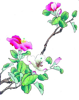 位圖 植物 花卉 優(yōu)雅植物 藝術(shù)效果 免費(fèi)素材