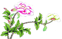 位圖 植物 花卉 優(yōu)雅植物 藝術(shù)效果 免費(fèi)素材