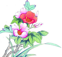 位圖 植物 花卉 優(yōu)雅植物 藝術(shù)效果 免費素材