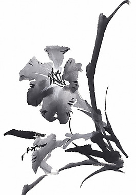 位圖 時(shí)尚休閑女裝 成熟優(yōu)雅女裝 植物 花卉 免費(fèi)素材