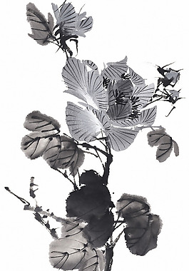 位圖 時(shí)尚休閑女裝 成熟優(yōu)雅女裝 植物 花卉 免費(fèi)素材