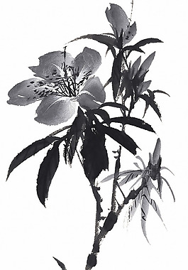 位圖 時(shí)尚休閑女裝 成熟優(yōu)雅女裝 植物 花卉 免費(fèi)素材