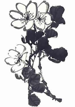 位圖 時(shí)尚休閑女裝 成熟優(yōu)雅女裝 植物 花卉 免費(fèi)素材