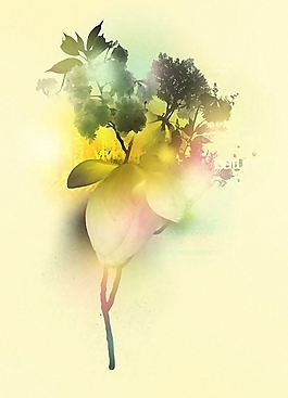 位图 植物 花卉 优雅植物 植物插画 免费素材