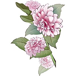 印花矢量圖 時尚休閑女裝 成熟優(yōu)雅女裝 植物 花卉 免費素材