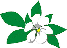 位圖 植物 花卉 優(yōu)雅植物 色彩 免費(fèi)素材