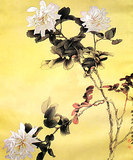 位圖 植物 花卉 優(yōu)雅植物 藝術(shù)效果 免費素材