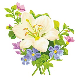 印花矢量圖 時尚休閑女裝 成熟優(yōu)雅女裝 植物 花卉 免費素材