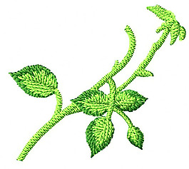 繡花 樹枝 樹葉 家紡 免費素材
