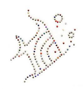 燙鉆 熱帶魚(yú) 免費(fèi)素材