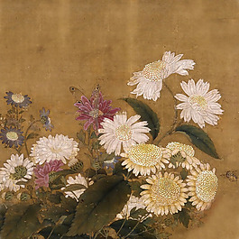 位圖 植物 花卉 優(yōu)雅植物 藝術(shù)效果 免費(fèi)素材