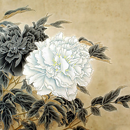 位圖 植物 花卉 優(yōu)雅植物 藝術(shù)效果 免費素材