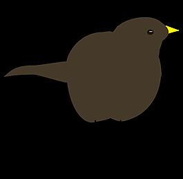 blackbird4