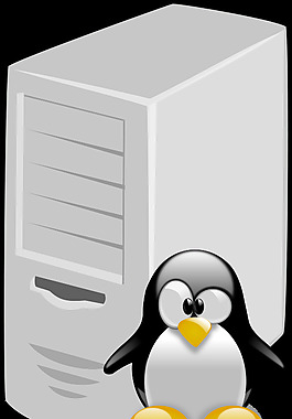 Linux服務器