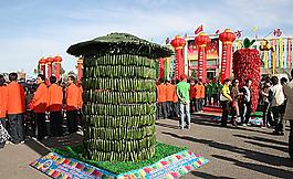 黃瓜圖片