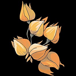 印花矢量圖 時(shí)尚休閑女裝 成熟優(yōu)雅女裝 植物 花卉 免費(fèi)素材