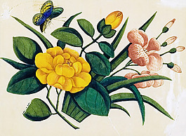 位圖 植物 花卉 優(yōu)雅植物 藝術(shù)效果 免費(fèi)素材